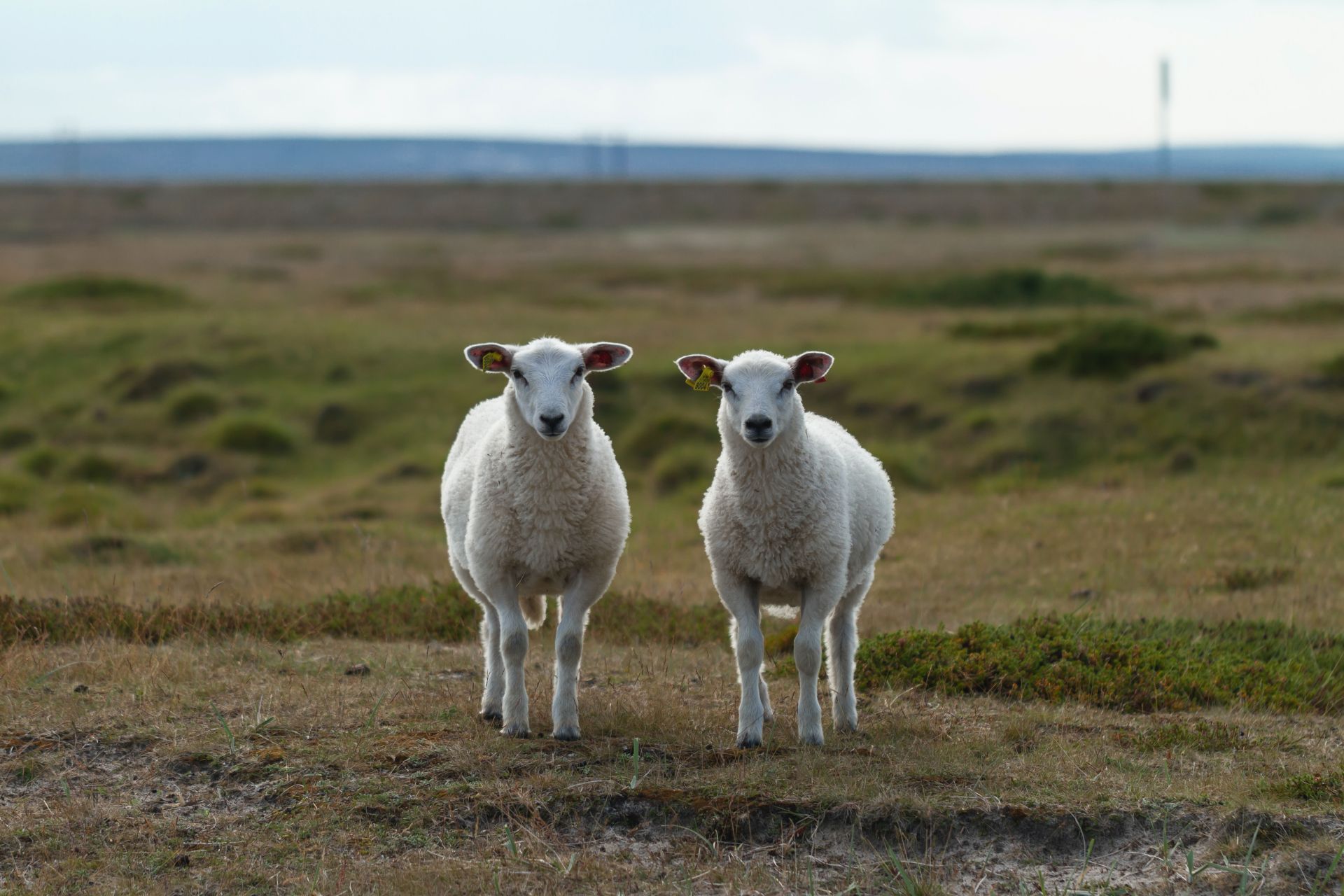 jorgen-haland-4yogrb-b-i4-unsplash